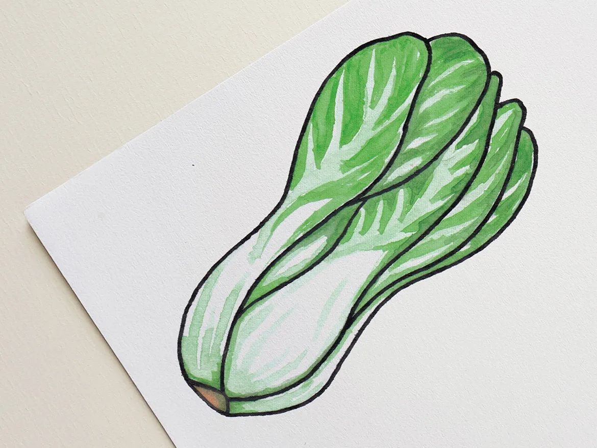 Seizoensgroenten — ontwerp 3 van 8
