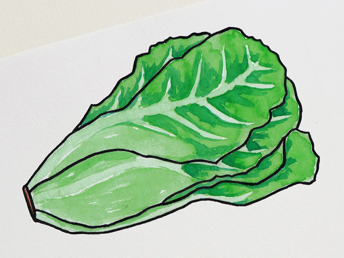 Seizoensgroenten — ontwerp 6 van 8