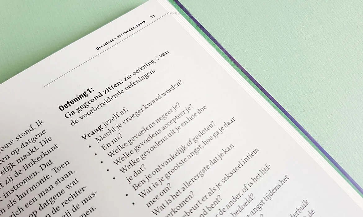 Handboek voor Hoogsensitiviteit — afbeelding 6